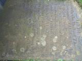 image of grave number 948035
